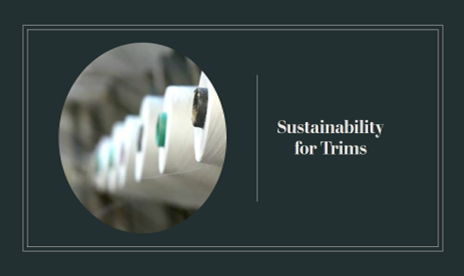 Sustainability 1704972948